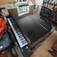 PIANOFORTE A CODA SAMICK