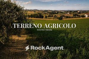 Terreno di 29773 m² a Arcevia