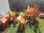 Immagine 4