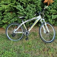 mtb bottecchia taglia 40