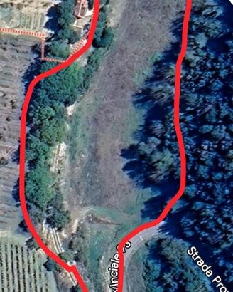 Terreno
