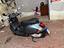 Immagine 2
