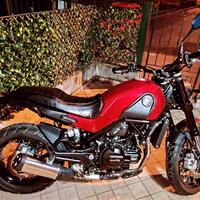 Benelli leoncino 500 trail con scarico leovince