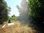 Immagine 10
