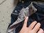 Immagine 4