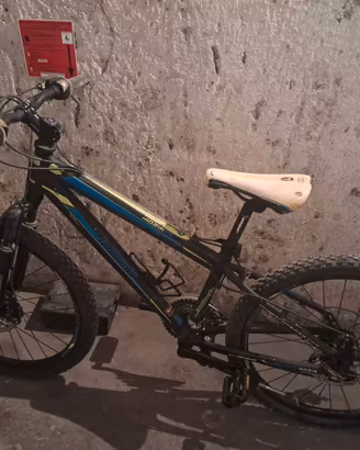 bici mountain bike usata ragazzo 8-10 anni