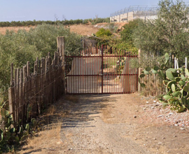 Terreno agricolo