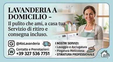 LAVANDERlA DOMlCILlO
