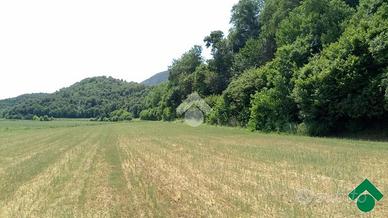 TER. AGRICOLO A ROVOLON