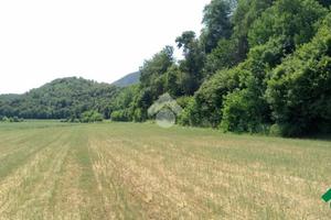 TER. AGRICOLO A ROVOLON