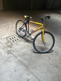 bici da ragazzo