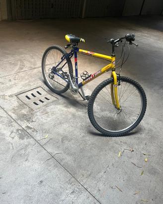 bici da ragazzo