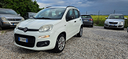 fiat-panda-natur-pawer