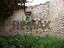 Immagine 21