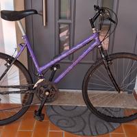 Bicicletta MTB