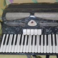 Fisarmonica