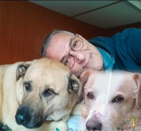 Custode con alloggio