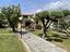 Immagine 9