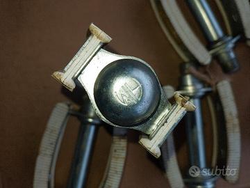 Graziella carnielli  10/12