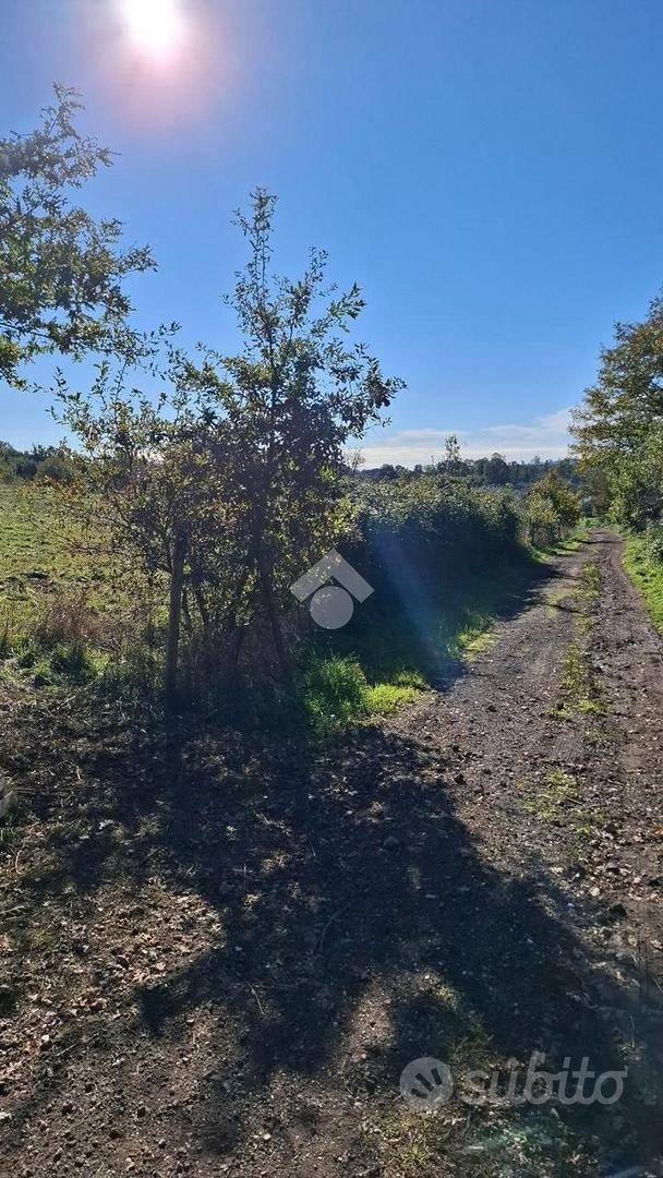 TER. AGRICOLO A TREVIGNANO ROMANO - Vista 5