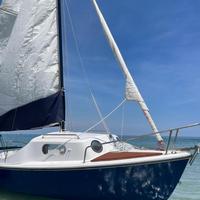 Barca a vela 5,5m