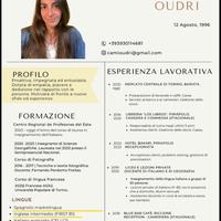 Recepcionist / Commessa / Barista / Insegnante