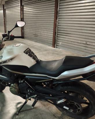 Yamaha XJ6 – 600 cc – 2009 – Solo 12.325 km