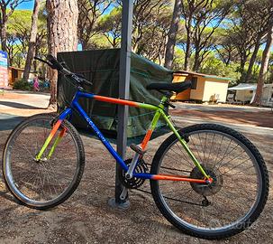 Mountain Bike Colnago