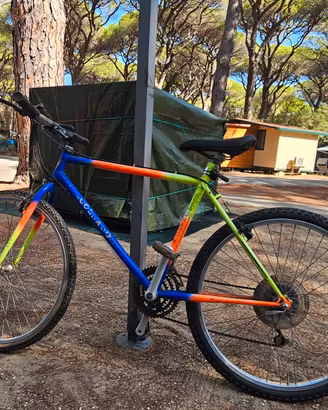 Mountain Bike Colnago