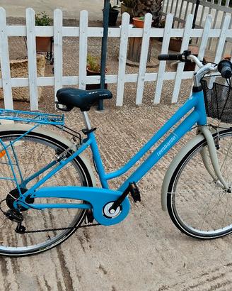 bicicletta da passeggio 