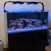 Acquario Marino Malberti 120x60x55