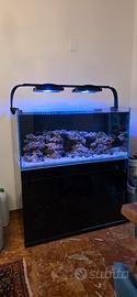 Acquario Marino Malberti 120x60x55