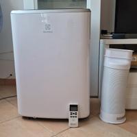 Electrolux, Climatizzatore Portatile