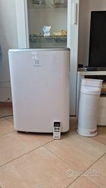 Electrolux, Climatizzatore Portatile