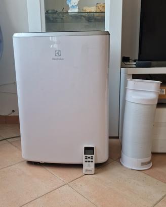 Electrolux, Climatizzatore Portatile