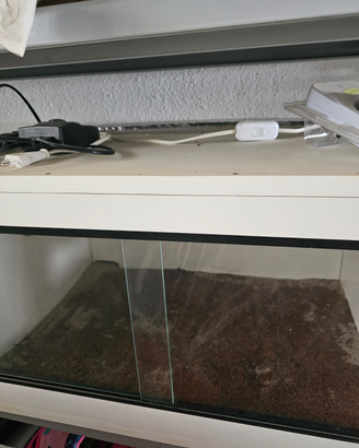 Terrario completo