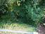 Immagine 13