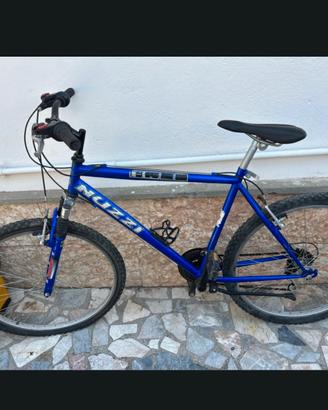 Mountain Bike Nuzzi Free 26