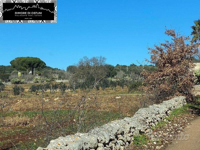 TERRENO FRONTE STRADA 1.5Ha - OSTUNI - Vista 5