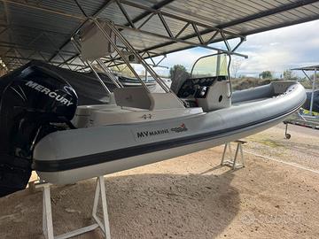 Motonautica Vesuviana 650 - Mercury 150 cv Verado