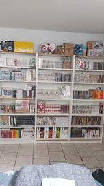 collezione manga