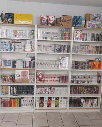 collezione manga