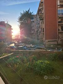 Appartamento in via domenico fontana