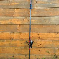 Canna da pesca alla trota