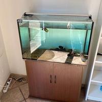 Acquario 80x40x50 con mobile e accessori
