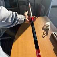 Daiwa amorphous power 8 metri
