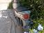 Immagine 4
