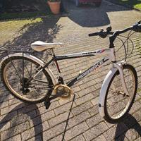 Mountain Bike Ragazzo Ruote 24"