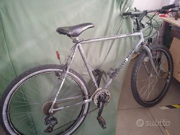 Bicicletta Mountain bike