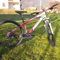 Mountain bike ruote 26,5